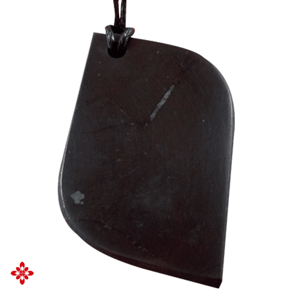 Shungite hanger Listva bladvormig gepolijst