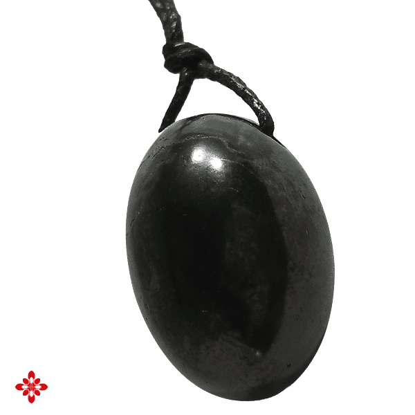 Pendentif Shungite Shatti, forme olive polie