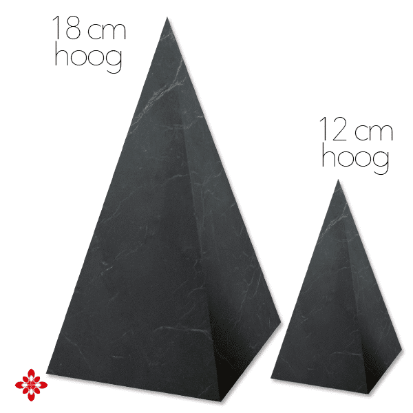 Shungite piramide Russkiy niet gepolijst