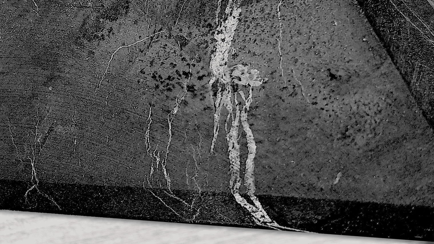 Points de vue sur le blog 5 1