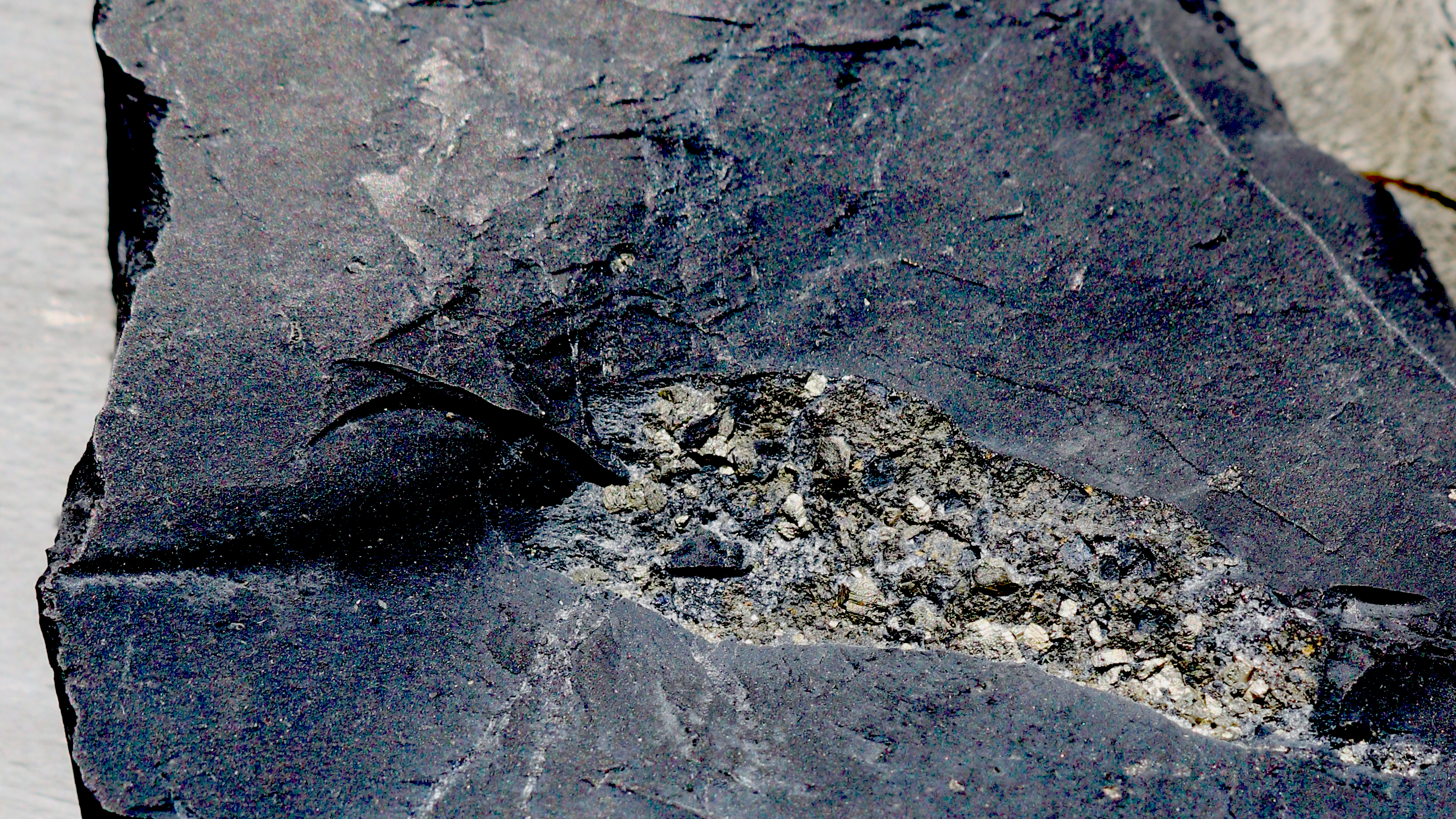 Points de vue sur le blog 1